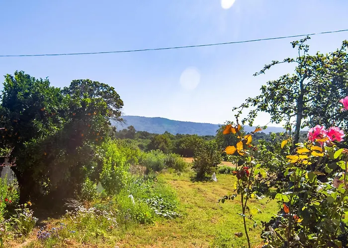 Stunning In A Peroxa With Wifi בית נופש La Peroja